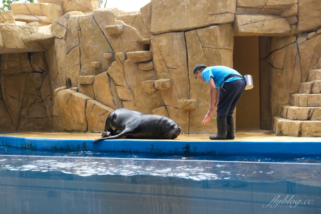 【夜宿Xpark】COZZI Blu 和逸飯店桃園館.夜宿Xpark海生館一泊四食,宿海奇遇星級海洋系眠旅 @飛天璇的口袋 【夜宿Xpark】COZZI Blu 和逸飯店桃園館.夜宿Xpark海生館一泊四食,宿海奇遇星級海洋系眠旅 @飛天璇的口袋