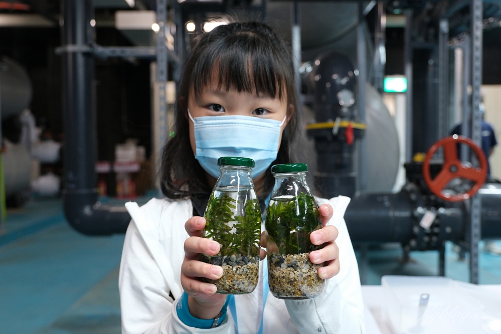 【夜宿Xpark】COZZI Blu 和逸飯店桃園館.夜宿Xpark海生館一泊四食,宿海奇遇星級海洋系眠旅 @飛天璇的口袋 【夜宿Xpark】COZZI Blu 和逸飯店桃園館.夜宿Xpark海生館一泊四食,宿海奇遇星級海洋系眠旅 @飛天璇的口袋