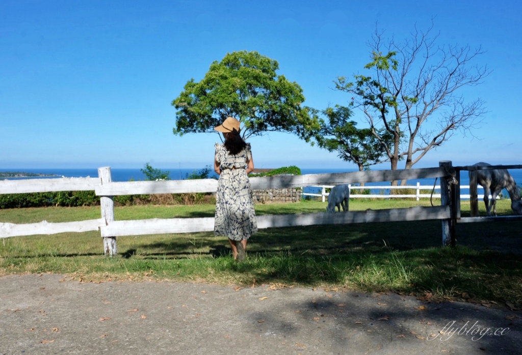 台東都蘭｜都蘭草堂民宿，太平洋無敵海景第一排秘境，台東最網美級的泳池民宿 @飛天璇的口袋