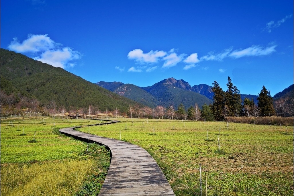 台中和平｜武陵農場．台灣三大高山農場，一年四季不同美景，門票、交通、住宿總整理 @飛天璇的口袋
