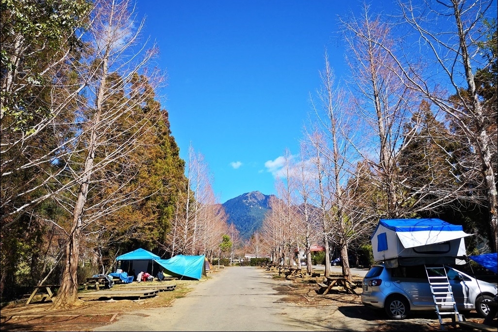 台中和平｜武陵農場．台灣三大高山農場，一年四季不同美景，門票、交通、住宿總整理 @飛天璇的口袋