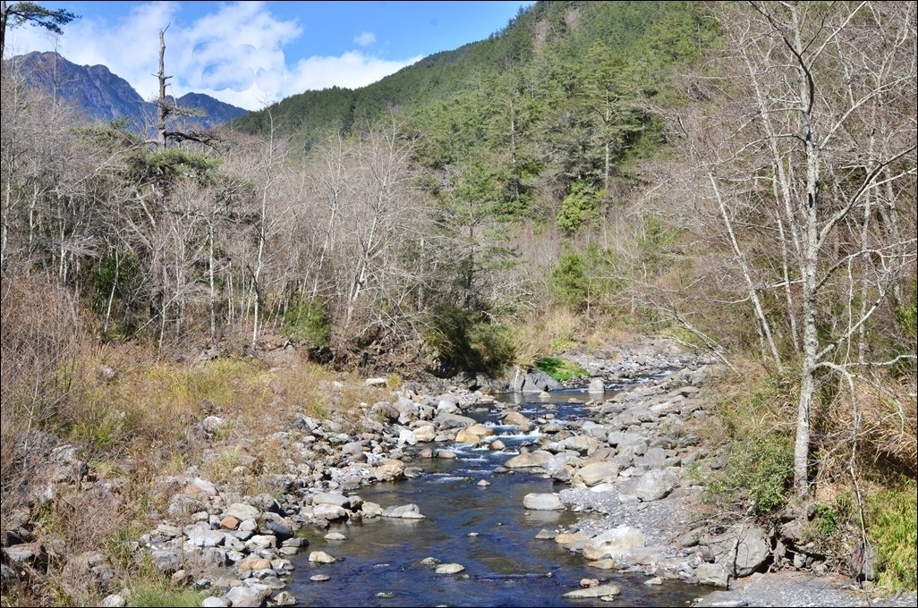 台中和平｜武陵福壽山2天1夜．經中橫到福壽山武陵採果樂，或是參加旅行社套裝行程 @飛天璇的口袋