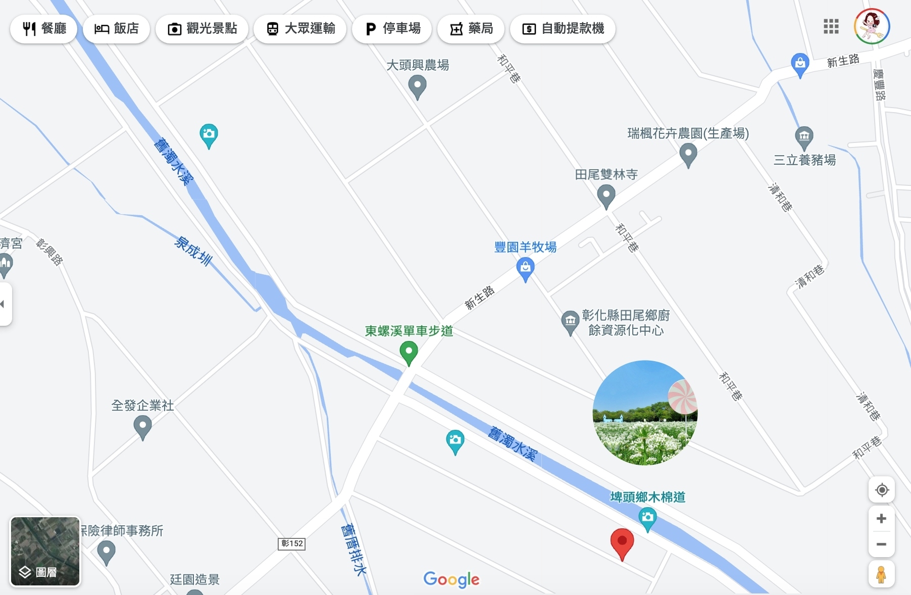 埤頭韭菜花田|浪漫9月雪夢幻登場,一整片白色花海超好拍 @飛天璇的口袋 埤頭韭菜花田|浪漫9月雪夢幻登場,一整片白色花海超好拍 @飛天璇的口袋