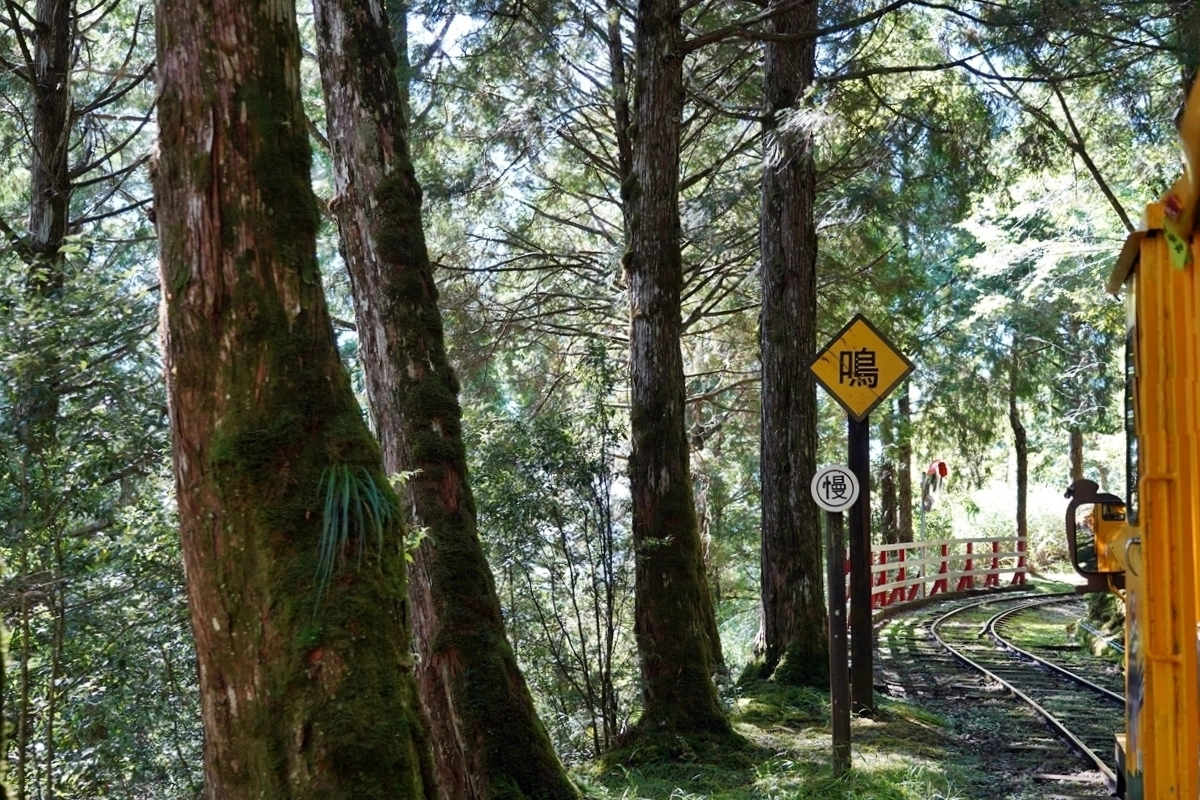 宜蘭大同｜太平山國家森林遊樂區，超熱門太平山蹦蹦車，票價、時刻表、路線，前往茂興車站 @飛天璇的口袋
