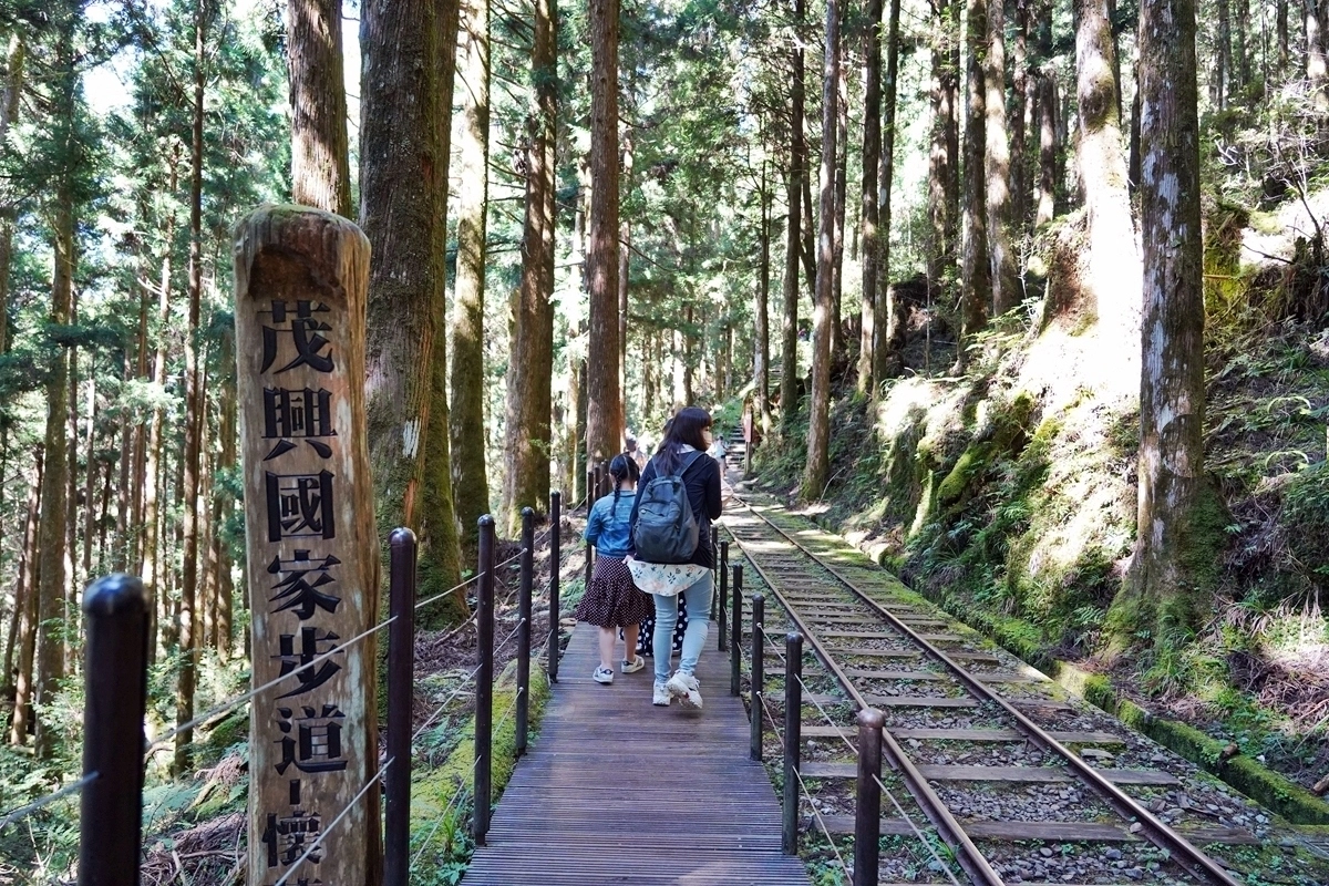 宜蘭大同｜太平山國家森林遊樂區，超熱門太平山蹦蹦車，票價、時刻表、路線，前往茂興車站 @飛天璇的口袋