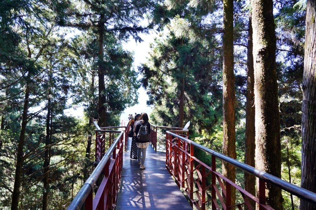 宜蘭大同｜太平山國家森林遊樂區，超熱門太平山蹦蹦車，票價、時刻表、路線，前往茂興車站 @飛天璇的口袋