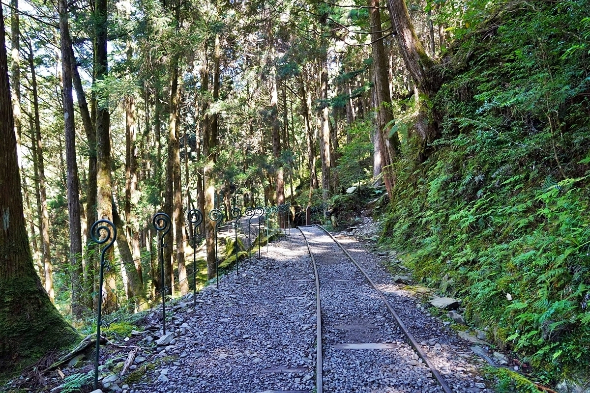 宜蘭大同｜太平山國家森林遊樂區，超熱門太平山蹦蹦車，票價、時刻表、路線，前往茂興車站 @飛天璇的口袋