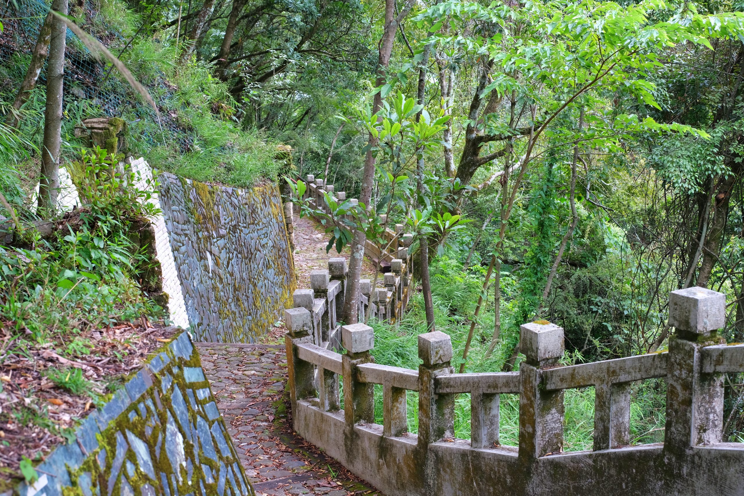 台中和平|希利克步道.梨山賓館後方的幽靜步道,全長600公尺兩座纜繩吊橋森林探索 @飛天璇的口袋 台中和平|希利克步道.梨山賓館後方的幽靜步道,全長600公尺兩座纜繩吊橋森林探索 @飛天璇的口袋