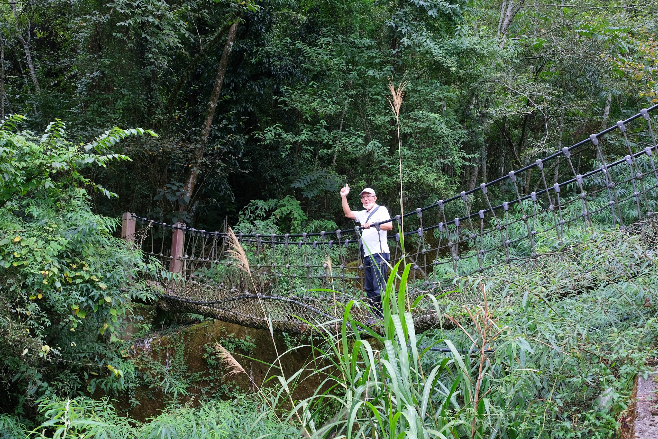 台中和平|希利克步道.梨山賓館後方的幽靜步道,全長600公尺兩座纜繩吊橋森林探索 @飛天璇的口袋 台中和平|希利克步道.梨山賓館後方的幽靜步道,全長600公尺兩座纜繩吊橋森林探索 @飛天璇的口袋