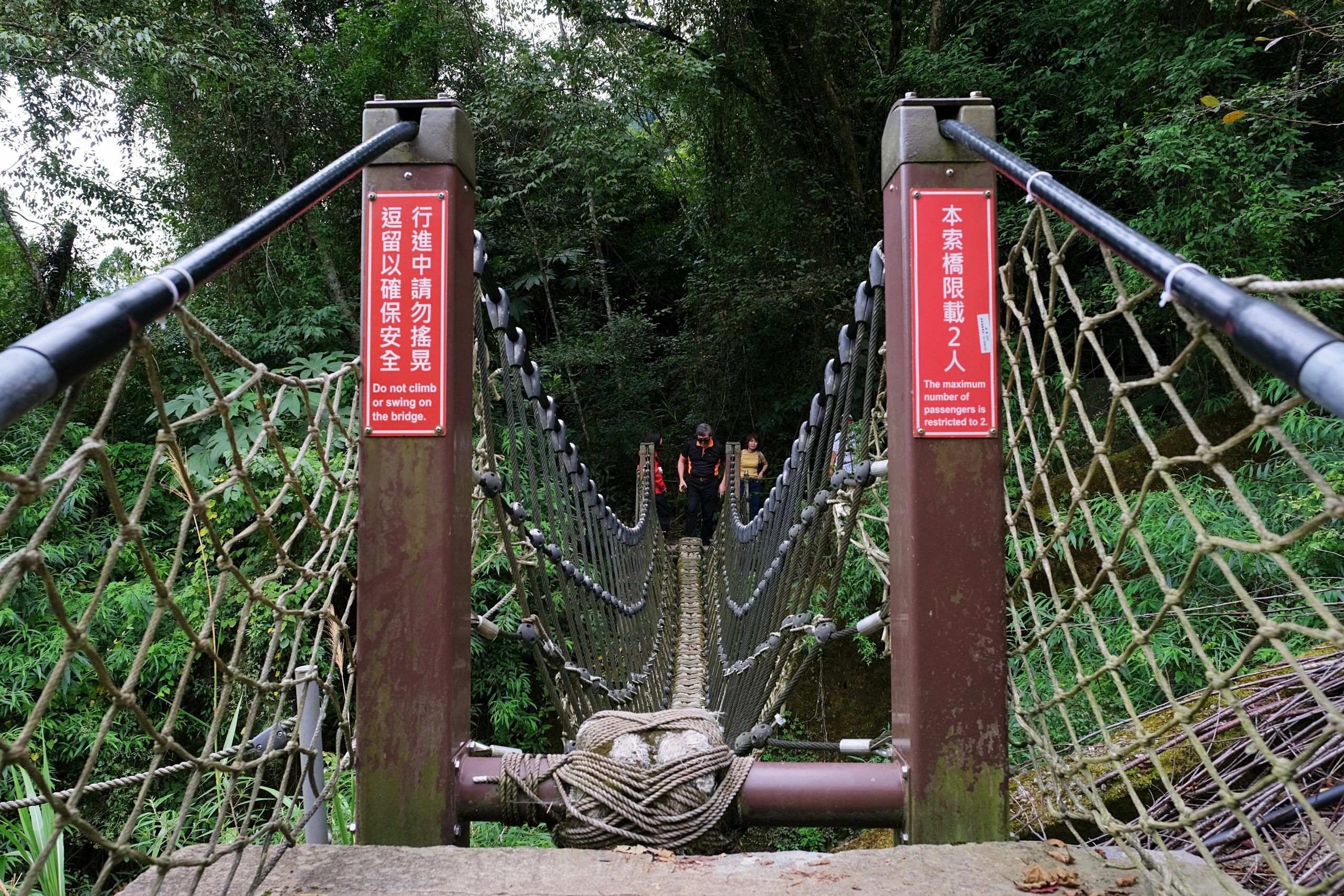 台中和平|希利克步道.梨山賓館後方的幽靜步道,全長600公尺兩座纜繩吊橋森林探索 @飛天璇的口袋 台中和平|希利克步道.梨山賓館後方的幽靜步道,全長600公尺兩座纜繩吊橋森林探索 @飛天璇的口袋
