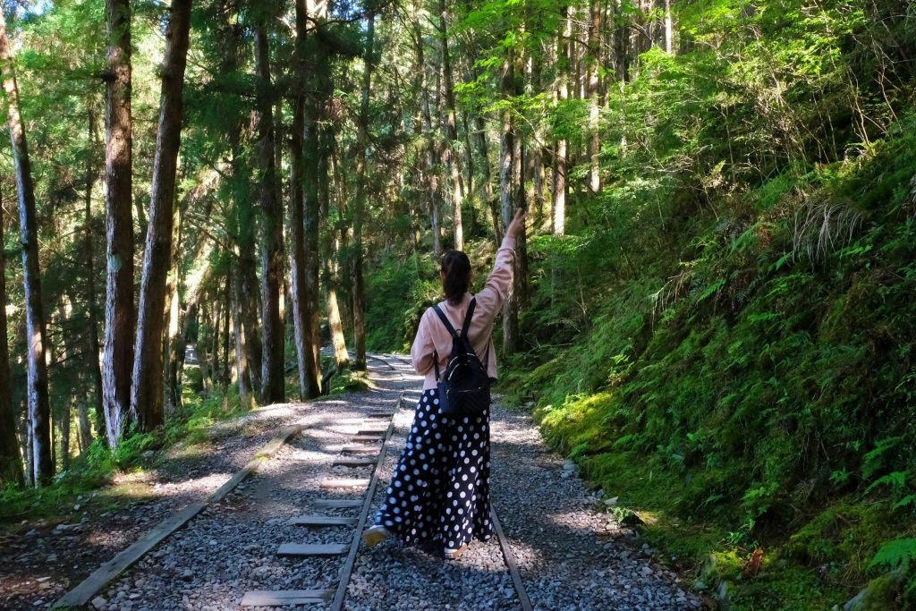 宜蘭大同｜太平山國家森林遊樂區，超熱門太平山蹦蹦車，票價、時刻表、路線，前往茂興車站 @飛天璇的口袋
