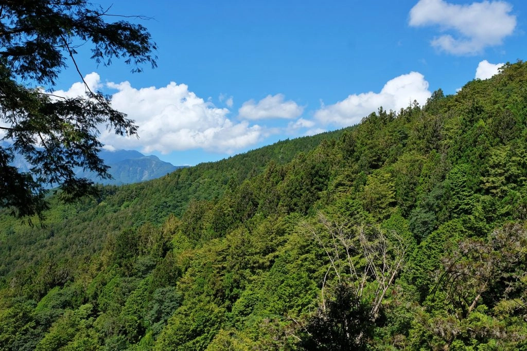 宜蘭大同｜太平山國家森林遊樂區，超熱門太平山蹦蹦車，票價、時刻表、路線，前往茂興車站 @飛天璇的口袋