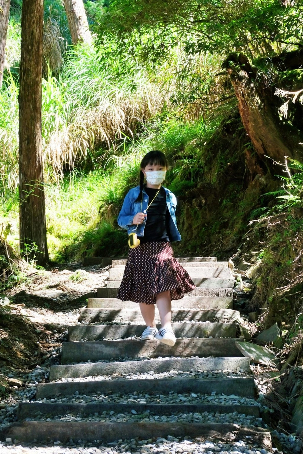 宜蘭大同｜太平山國家森林遊樂區，超熱門太平山蹦蹦車，票價、時刻表、路線，前往茂興車站 @飛天璇的口袋