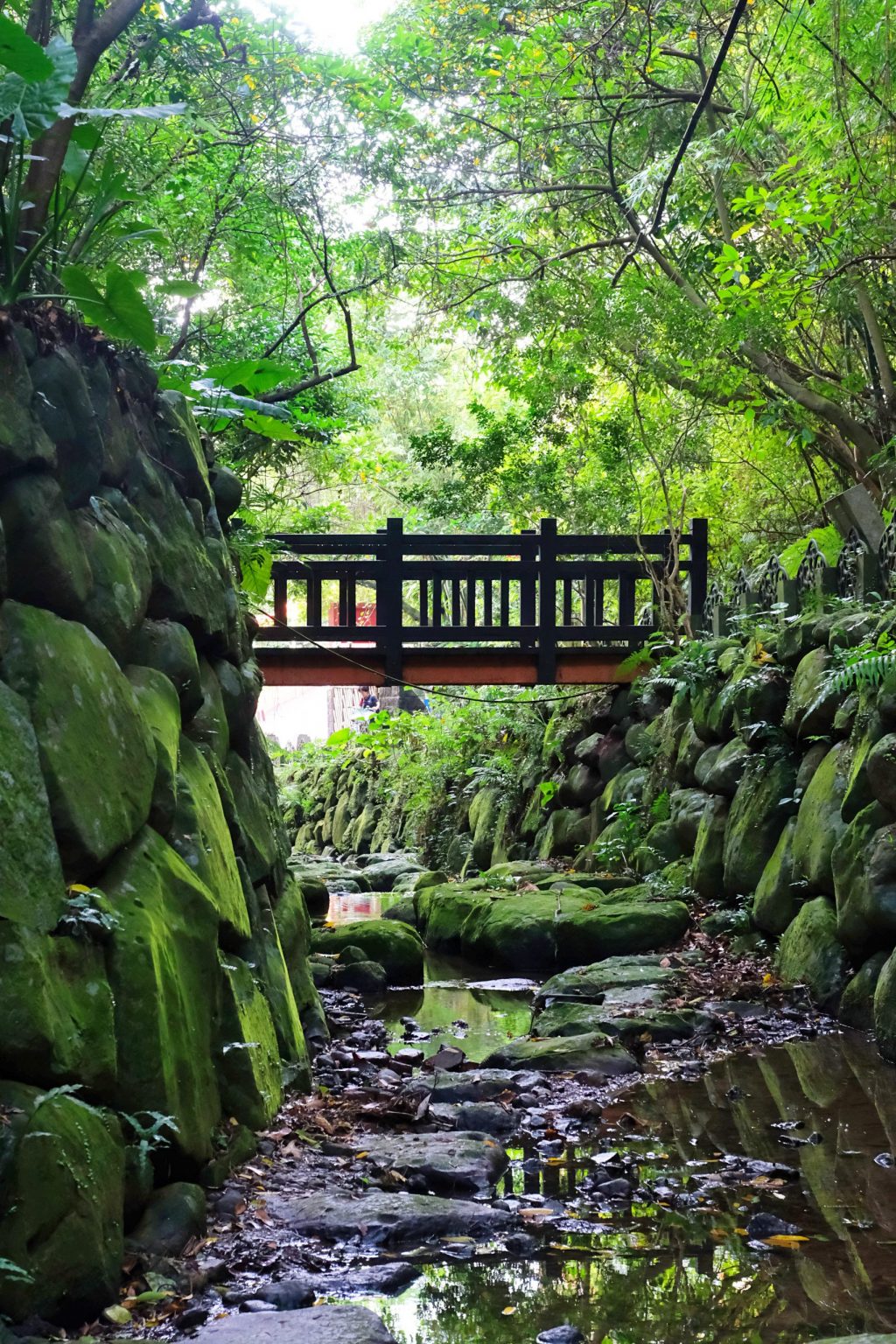 台北信義｜虎山溪步道，台北市區潺潺溪流山林美景，夢幻石砌拱橋的親水步道 @飛天璇的口袋