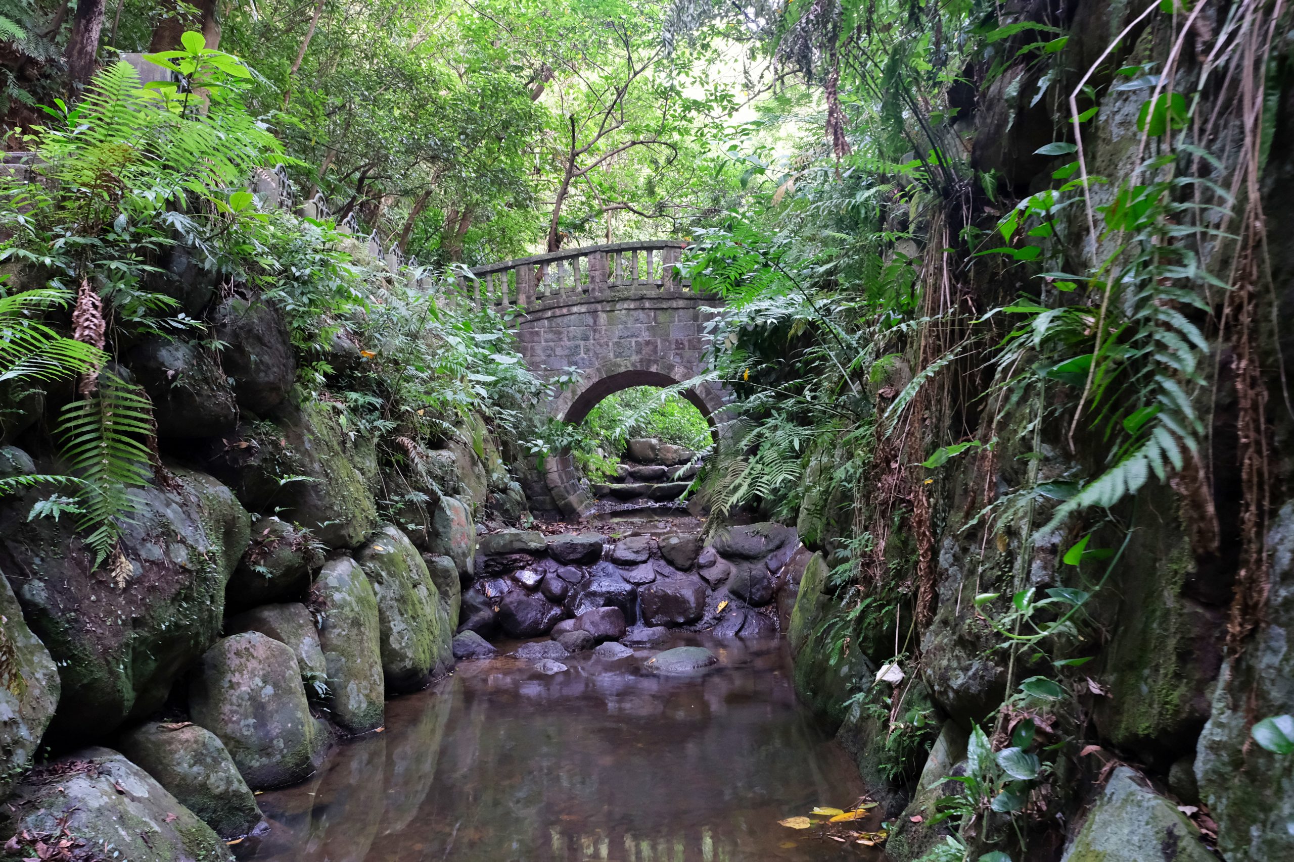 台北信義｜虎山溪步道，台北市區潺潺溪流山林美景，夢幻石砌拱橋的親水步道 @飛天璇的口袋