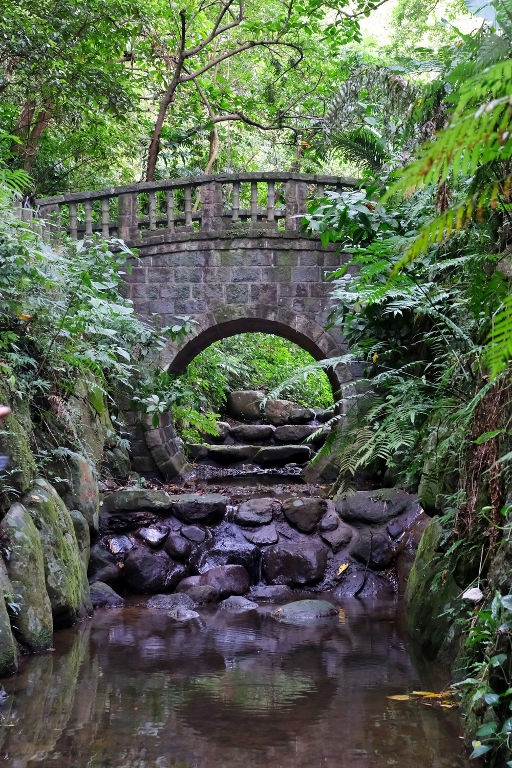 台北信義｜虎山溪步道，台北市區潺潺溪流山林美景，夢幻石砌拱橋的親水步道 @飛天璇的口袋