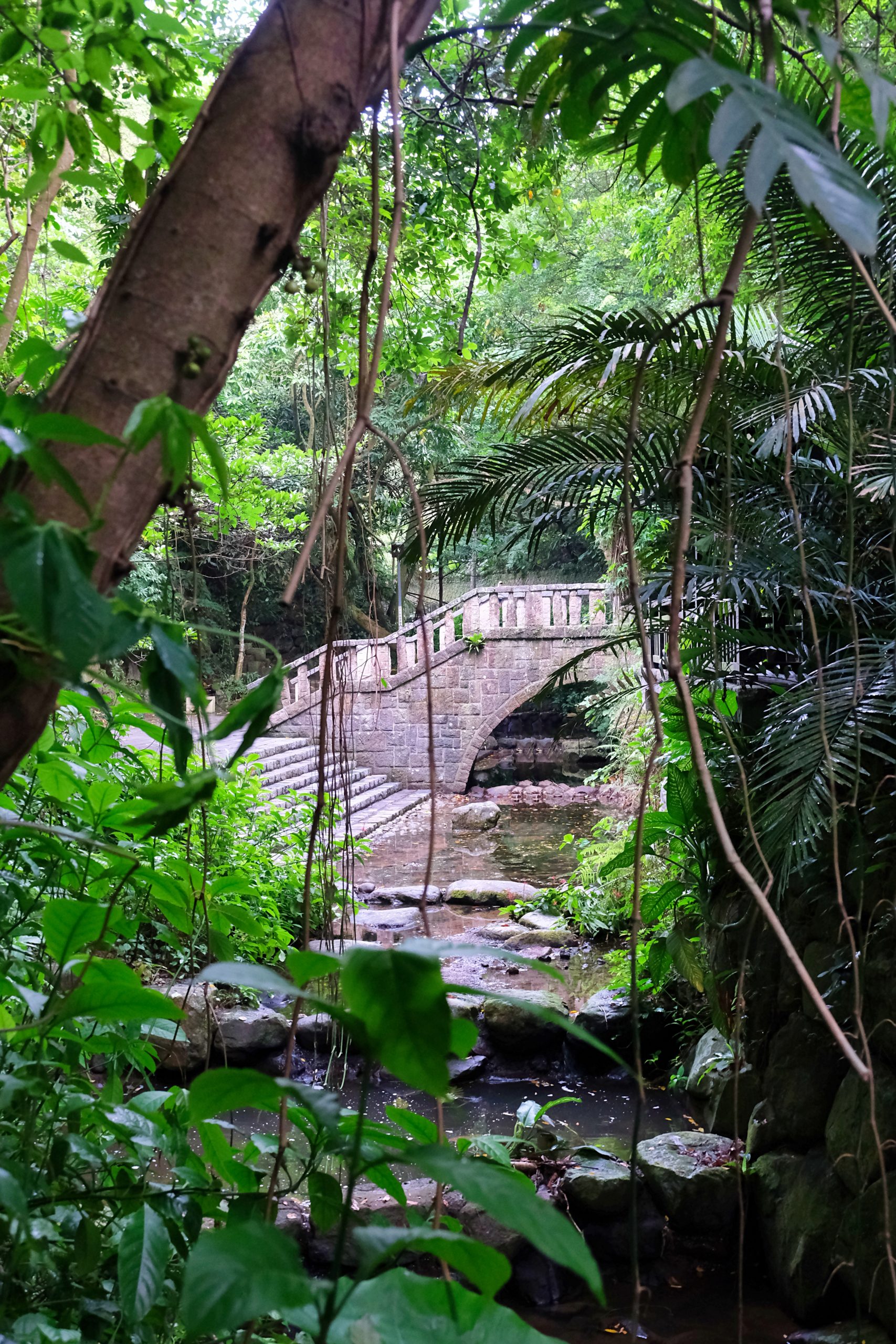 台北信義｜虎山溪步道，台北市區潺潺溪流山林美景，夢幻石砌拱橋的親水步道 @飛天璇的口袋