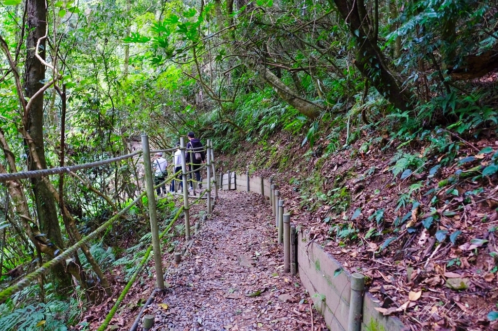 台中和平|希利克步道.梨山賓館後方的幽靜步道,全長600公尺兩座纜繩吊橋森林探索 @飛天璇的口袋 台中和平|希利克步道.梨山賓館後方的幽靜步道,全長600公尺兩座纜繩吊橋森林探索 @飛天璇的口袋