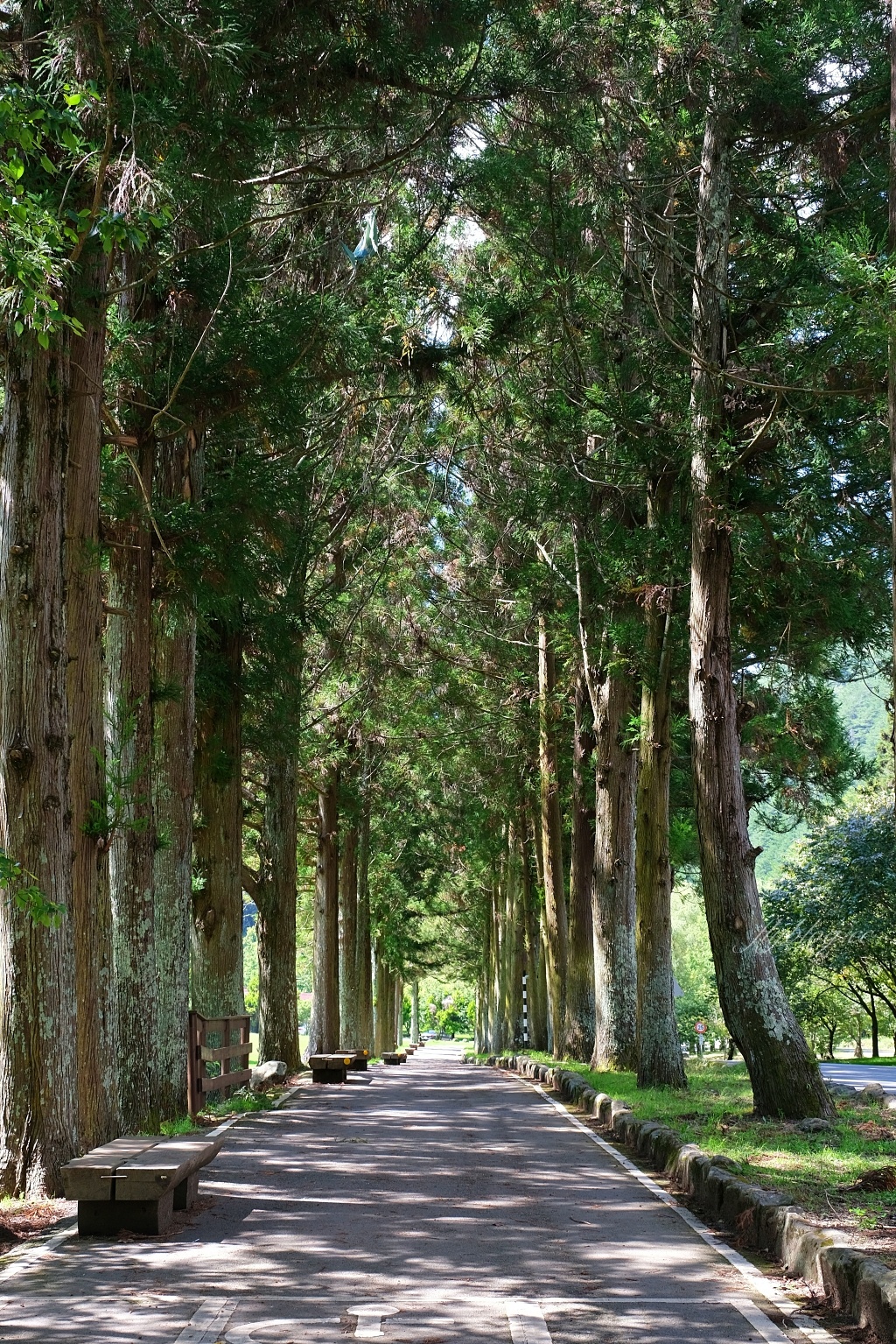 台中和平｜武陵農場．台灣三大高山農場，一年四季不同美景，門票、交通、住宿總整理 @飛天璇的口袋