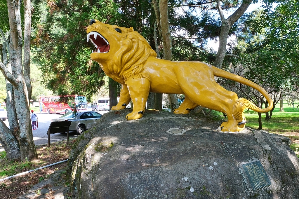 台中和平｜武陵農場．台灣三大高山農場，一年四季不同美景，門票、交通、住宿總整理 @飛天璇的口袋