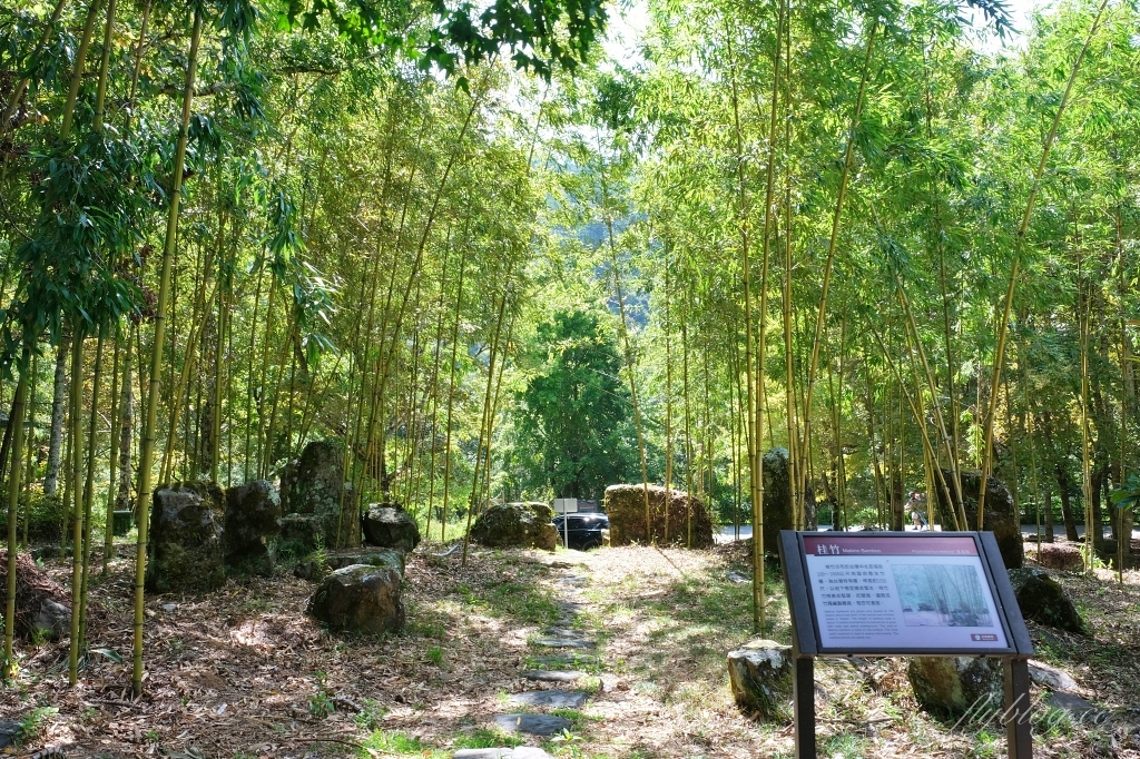 台中和平｜武陵農場．台灣三大高山農場，一年四季不同美景，門票、交通、住宿總整理 @飛天璇的口袋