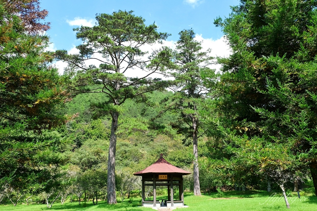 台中和平｜武陵農場．台灣三大高山農場，一年四季不同美景，門票、交通、住宿總整理 @飛天璇的口袋