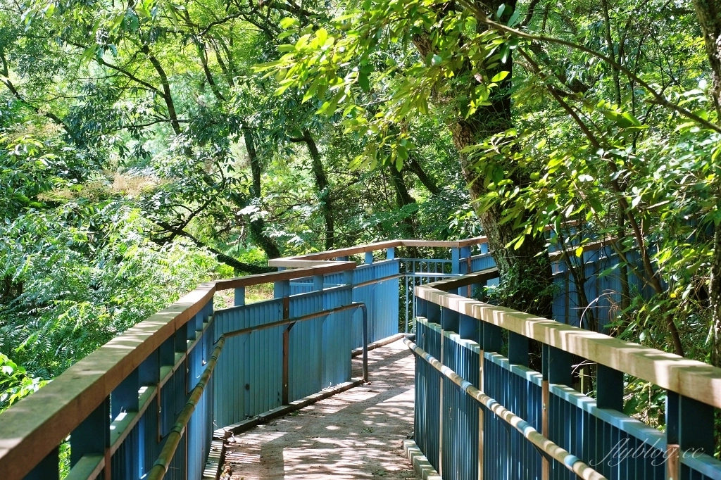 台中和平｜武陵福壽山2天1夜．經中橫到福壽山武陵採果樂，或是參加旅行社套裝行程 @飛天璇的口袋