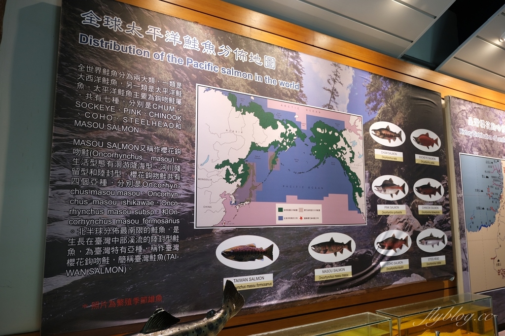 台中和平｜武陵農場．台灣三大高山農場，一年四季不同美景，門票、交通、住宿總整理 @飛天璇的口袋