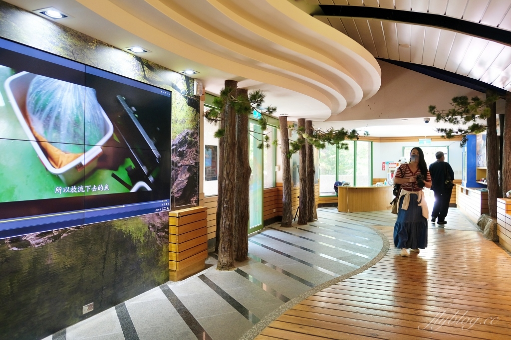 台中和平｜武陵農場．台灣三大高山農場，一年四季不同美景，門票、交通、住宿總整理 @飛天璇的口袋