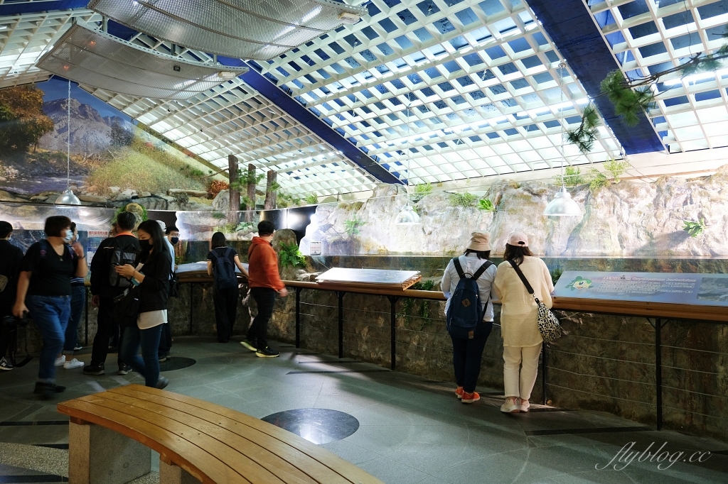 台中和平｜武陵農場．台灣三大高山農場，一年四季不同美景，門票、交通、住宿總整理 @飛天璇的口袋