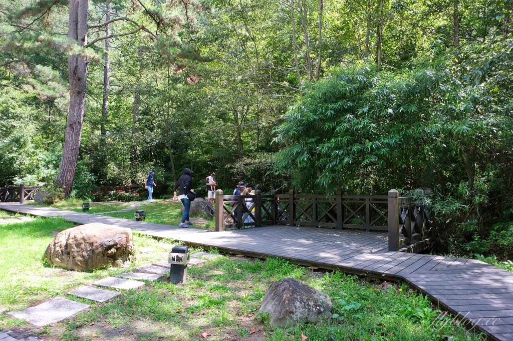 台中和平｜武陵福壽山2天1夜．經中橫到福壽山武陵採果樂，或是參加旅行社套裝行程 @飛天璇的口袋