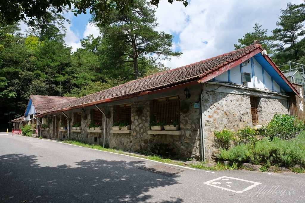台中和平｜武陵農場．台灣三大高山農場，一年四季不同美景，門票、交通、住宿總整理 @飛天璇的口袋