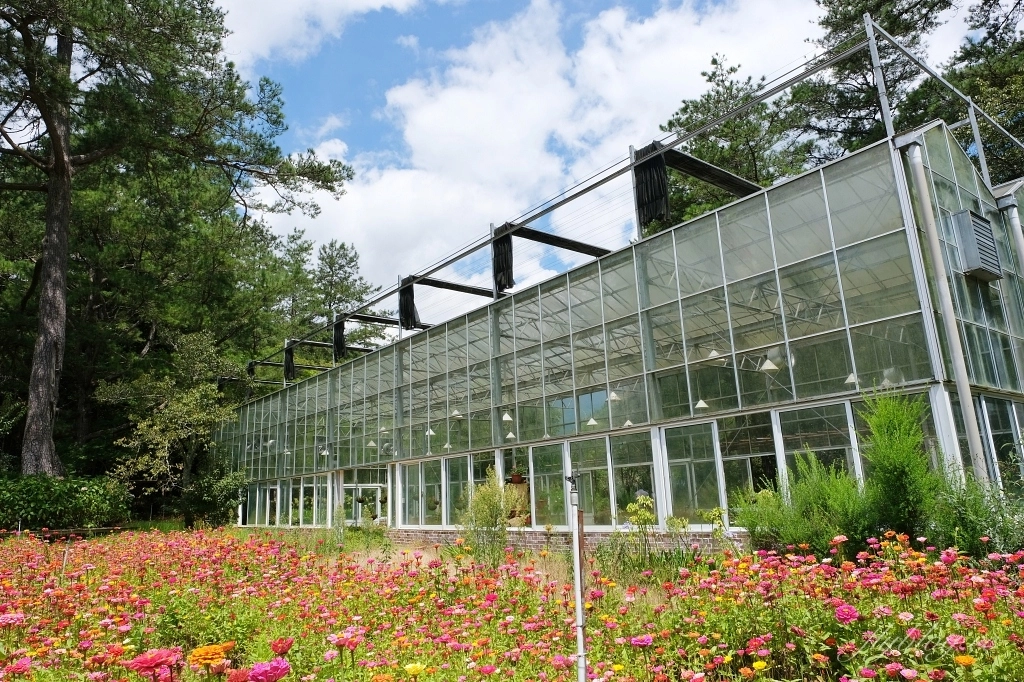 台中和平｜武陵福壽山2天1夜．經中橫到福壽山武陵採果樂，或是參加旅行社套裝行程 @飛天璇的口袋