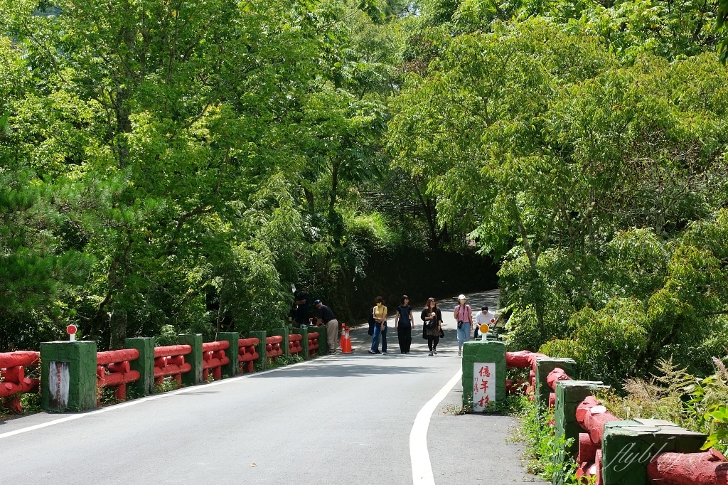 台中和平｜武陵福壽山2天1夜．經中橫到福壽山武陵採果樂，或是參加旅行社套裝行程 @飛天璇的口袋