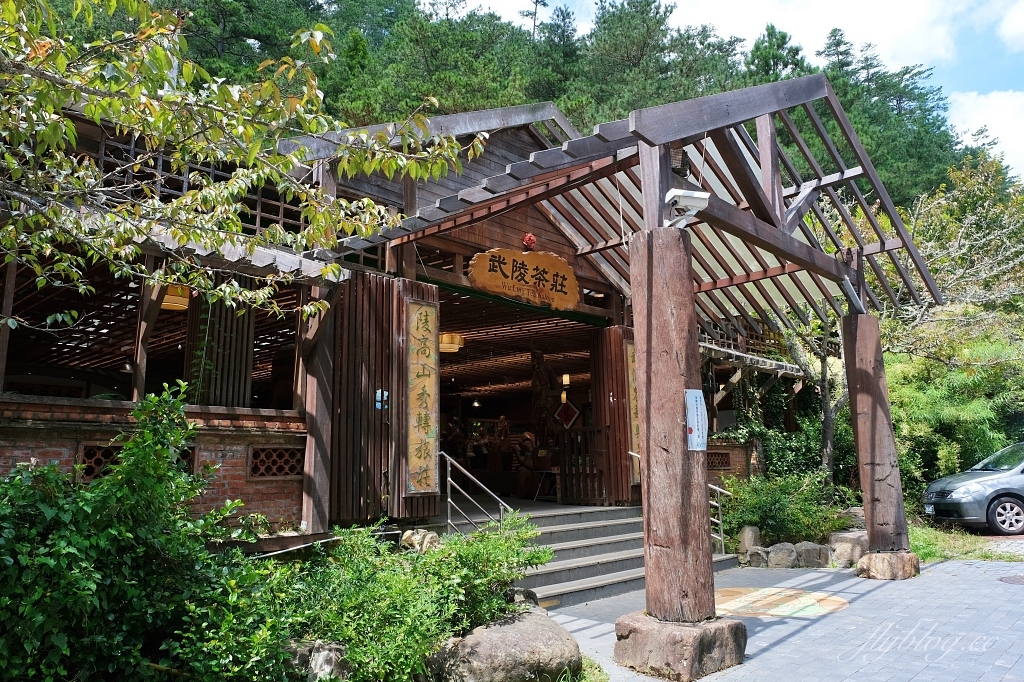 台中和平｜武陵福壽山2天1夜．經中橫到福壽山武陵採果樂，或是參加旅行社套裝行程 @飛天璇的口袋