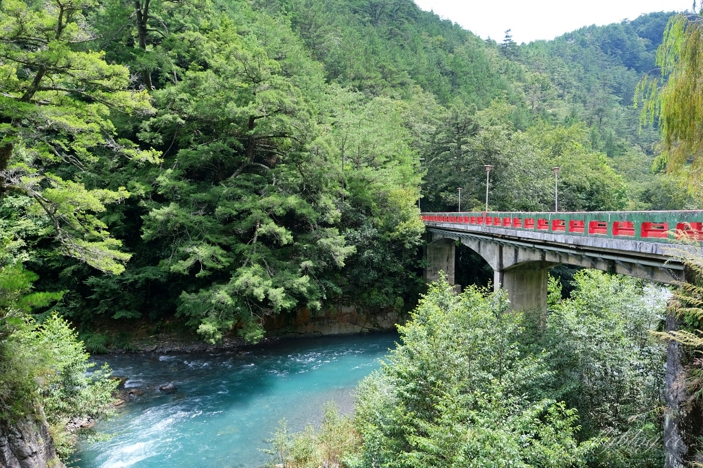 台中和平｜武陵福壽山2天1夜．經中橫到福壽山武陵採果樂，或是參加旅行社套裝行程 @飛天璇的口袋