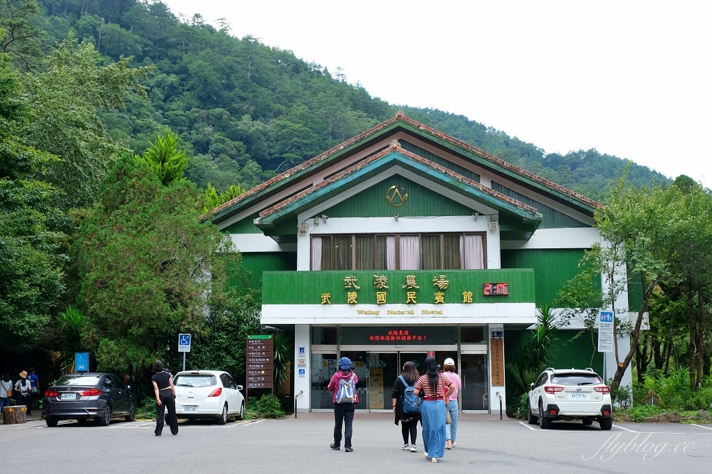 台中和平｜武陵福壽山2天1夜．經中橫到福壽山武陵採果樂，或是參加旅行社套裝行程 @飛天璇的口袋