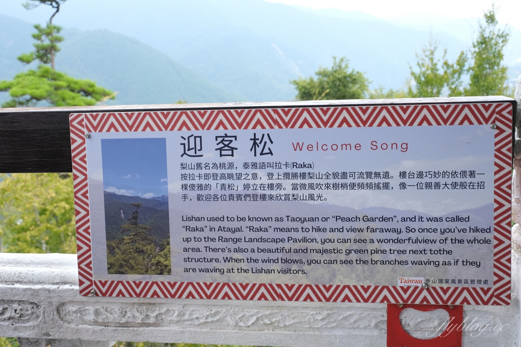 台中和平|希利克步道.梨山賓館後方的幽靜步道,全長600公尺兩座纜繩吊橋森林探索 @飛天璇的口袋 台中和平|希利克步道.梨山賓館後方的幽靜步道,全長600公尺兩座纜繩吊橋森林探索 @飛天璇的口袋