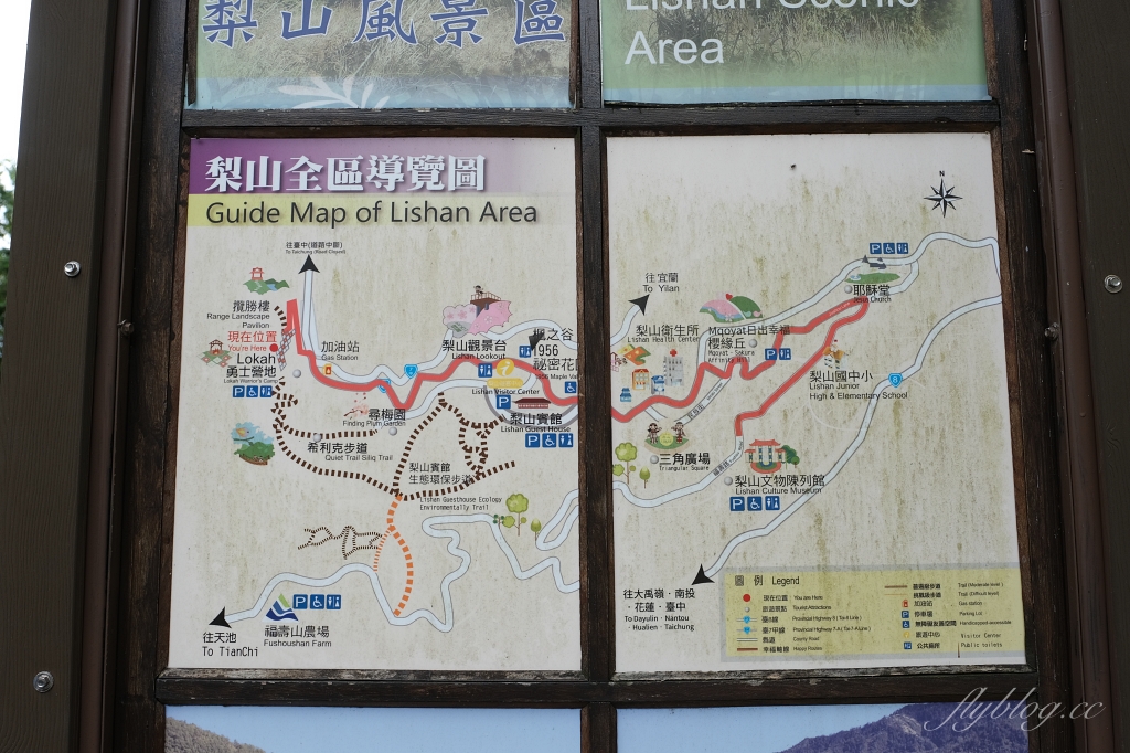 台中和平|希利克步道.梨山賓館後方的幽靜步道,全長600公尺兩座纜繩吊橋森林探索 @飛天璇的口袋 台中和平|希利克步道.梨山賓館後方的幽靜步道,全長600公尺兩座纜繩吊橋森林探索 @飛天璇的口袋