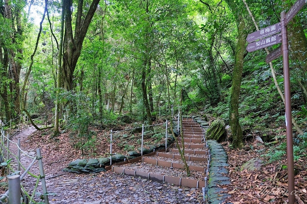台中和平|希利克步道.梨山賓館後方的幽靜步道,全長600公尺兩座纜繩吊橋森林探索 @飛天璇的口袋 台中和平|希利克步道.梨山賓館後方的幽靜步道,全長600公尺兩座纜繩吊橋森林探索 @飛天璇的口袋