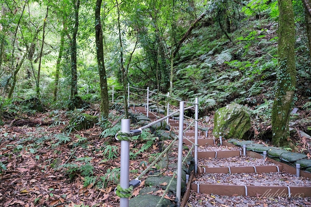 台中和平|希利克步道.梨山賓館後方的幽靜步道,全長600公尺兩座纜繩吊橋森林探索 @飛天璇的口袋 台中和平|希利克步道.梨山賓館後方的幽靜步道,全長600公尺兩座纜繩吊橋森林探索 @飛天璇的口袋