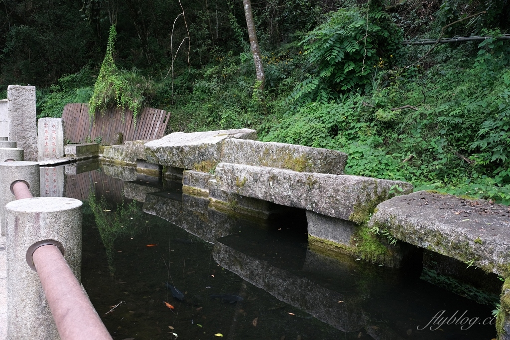 台中和平|希利克步道.梨山賓館後方的幽靜步道,全長600公尺兩座纜繩吊橋森林探索 @飛天璇的口袋 台中和平|希利克步道.梨山賓館後方的幽靜步道,全長600公尺兩座纜繩吊橋森林探索 @飛天璇的口袋