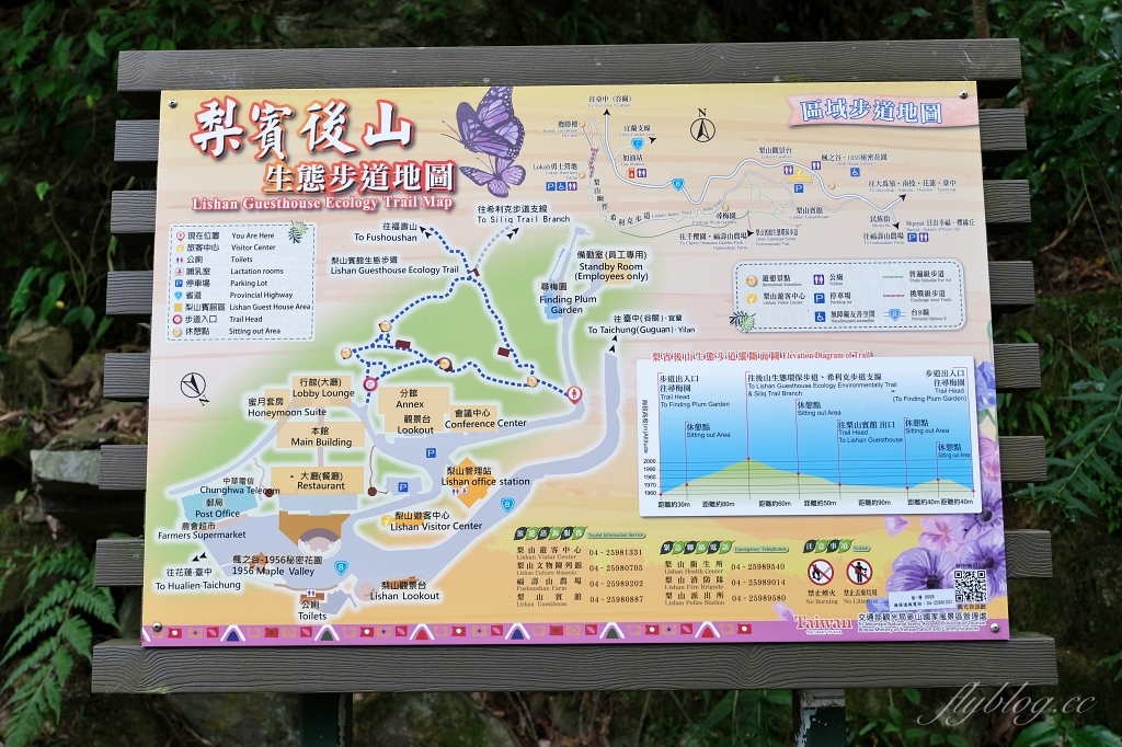 台中和平｜希利克步道．梨山賓館後方的幽靜步道，全長600公尺兩座纜繩吊橋森林探索 @飛天璇的口袋