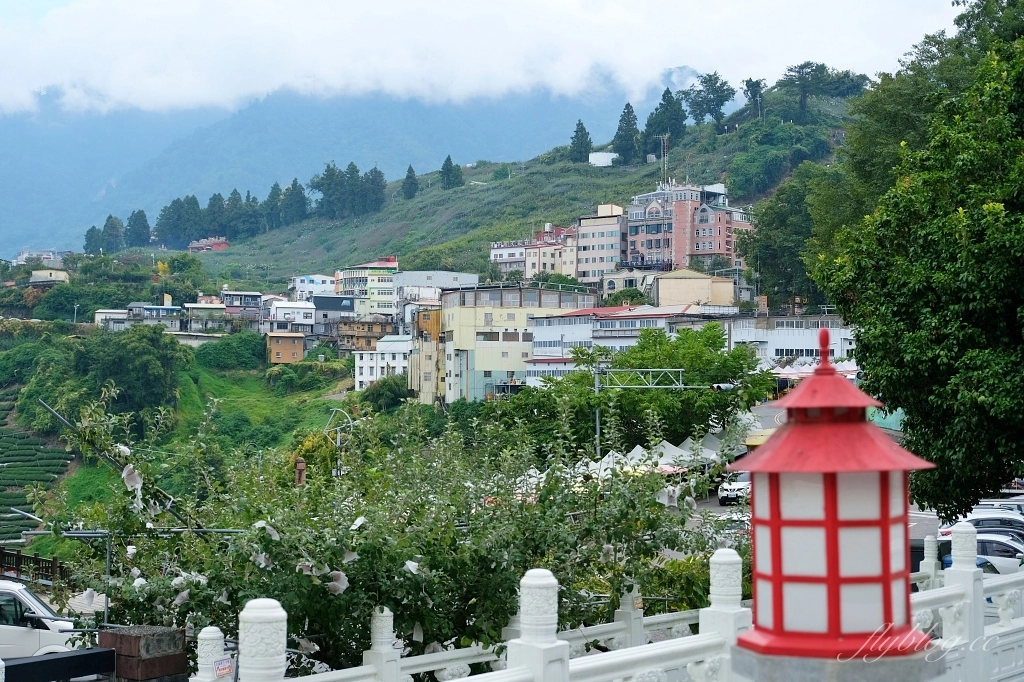台中和平|希利克步道.梨山賓館後方的幽靜步道,全長600公尺兩座纜繩吊橋森林探索 @飛天璇的口袋 台中和平|希利克步道.梨山賓館後方的幽靜步道,全長600公尺兩座纜繩吊橋森林探索 @飛天璇的口袋
