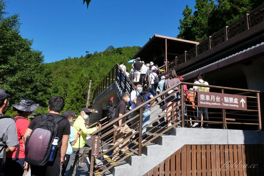 宜蘭大同｜太平山國家森林遊樂區，超熱門太平山蹦蹦車，票價、時刻表、路線，前往茂興車站 @飛天璇的口袋