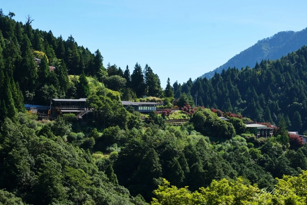 宜蘭大同｜太平山國家森林遊樂區，超熱門太平山蹦蹦車，票價、時刻表、路線，前往茂興車站 @飛天璇的口袋