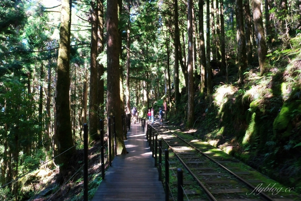 宜蘭大同｜太平山國家森林遊樂區，超熱門太平山蹦蹦車，票價、時刻表、路線，前往茂興車站 @飛天璇的口袋
