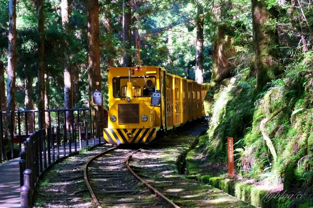宜蘭大同｜太平山國家森林遊樂區，超熱門太平山蹦蹦車，票價、時刻表、路線，前往茂興車站 @飛天璇的口袋