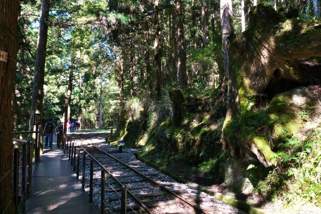 宜蘭大同｜太平山國家森林遊樂區，超熱門太平山蹦蹦車，票價、時刻表、路線，前往茂興車站 @飛天璇的口袋