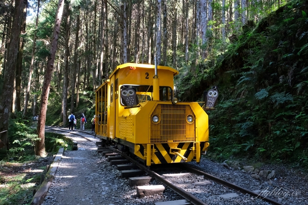 宜蘭大同｜太平山國家森林遊樂區，超熱門太平山蹦蹦車，票價、時刻表、路線，前往茂興車站 @飛天璇的口袋